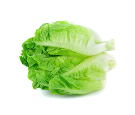 生菜 青菜 蔬菜 生鲜 绿叶菜