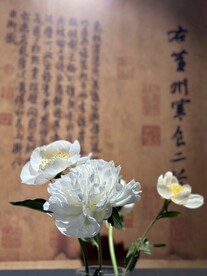 国家植物园临展鲜花