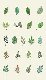 多彩树叶植物卡通绘画儿童插画