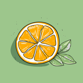 橙子水果手绘矢量插画