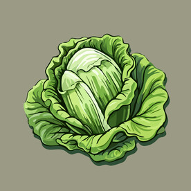 包菜蔬菜手绘矢量插画
