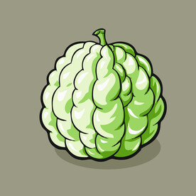 释迦果水果手绘矢量插画