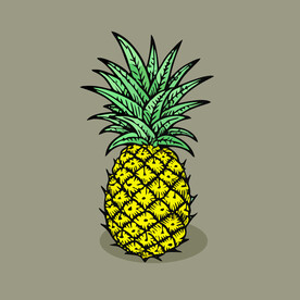 菠萝水果手绘矢量插画