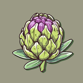 洋蓟蔬菜手绘矢量插画