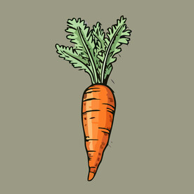 胡萝卜蔬菜手绘矢量插画