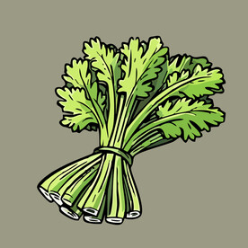 芹菜蔬菜手绘矢量插画