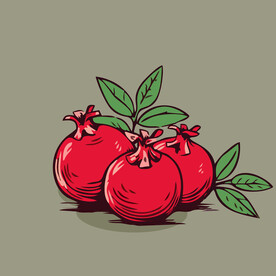 山竹水果手绘矢量插画