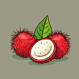 荔枝水果手绘矢量插画