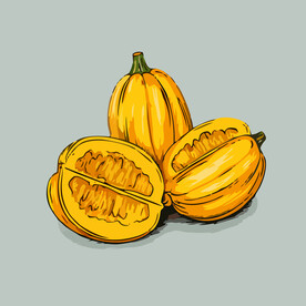 菠萝蜜水果手绘矢量插画