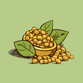 黄豆蔬菜手绘矢量插画