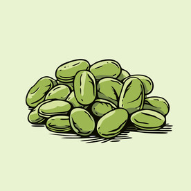 蚕豆蔬菜手绘矢量插画