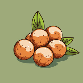 荔枝水果手绘矢量插画