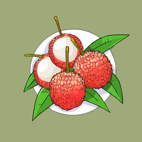荔枝水果手绘矢量插画