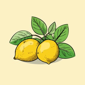 柠檬水果手绘矢量插画