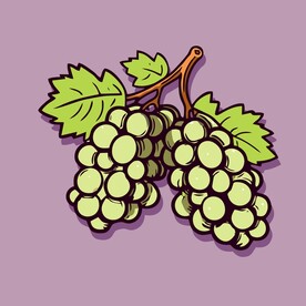 葡萄水果手绘矢量插画