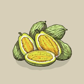 菠萝蜜热带水果手绘矢量插画