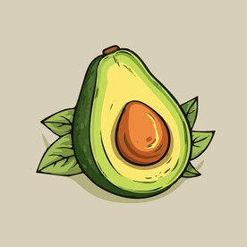 牛油果热带水果手绘矢量插画