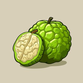 释迦果热带水果手绘矢量插画