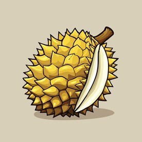 榴莲热带水果手绘矢量插画