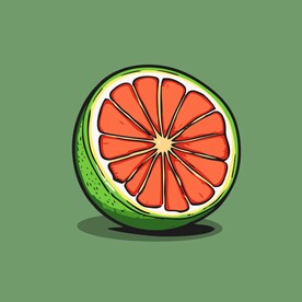 血橙水果手绘矢量插画