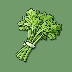 茼蒿瓜蔬菜手绘矢量插画