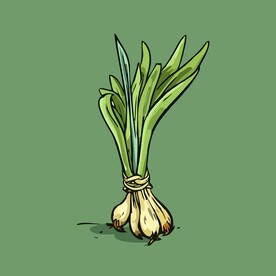 小葱蔬菜手绘矢量插画