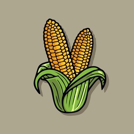 美味玉米蔬菜手绘矢量插画