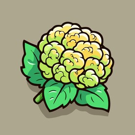 美味花菜蔬菜手绘矢量插画