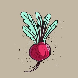 手绘萝卜卡通蔬菜矢量插画