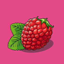手绘树莓水果矢量插图卡通美食