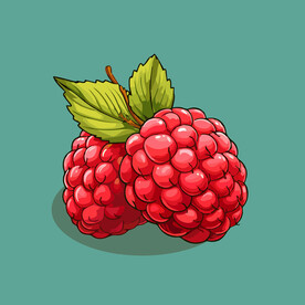 手绘树莓水果矢量插图卡通美食
