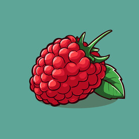 手绘树莓水果矢量插图卡通美食