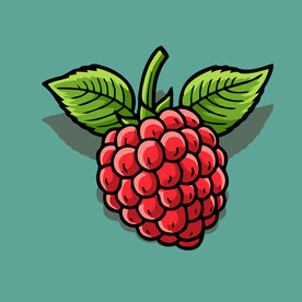 手绘树莓水果矢量插图卡通美食