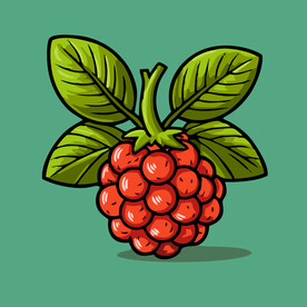 手绘覆盆子植物水果矢量插图