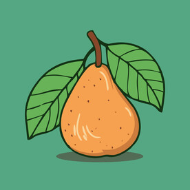 手绘黄梨卡通水果矢量插画