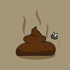 一坨臭臭的屎粑粑大便屎图片