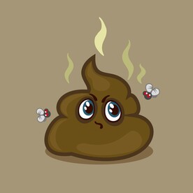 一坨臭臭的屎粑粑大便屎图片