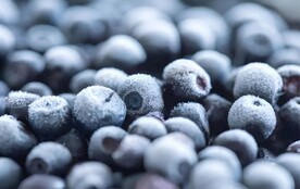 蓝莓