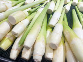 茭白