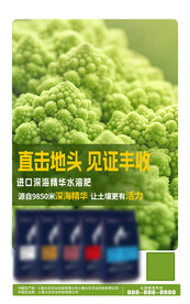 蔬菜海报