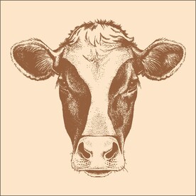 手绘版画牛头 