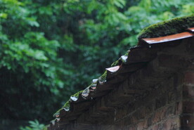 屋檐雨落