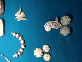 各式各样贝壳