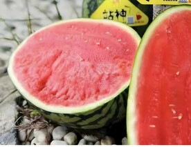 西瓜