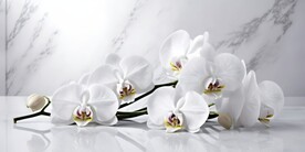 创意多彩花朵水彩海报背景