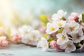 创意多彩花朵水彩海报背景