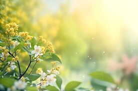 创意多彩花朵水彩海报背景