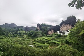 武夷山景区岩茶核心产区马头岩