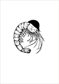 虾插画