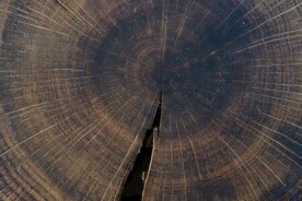 木板木纹背景纹理花纹素材